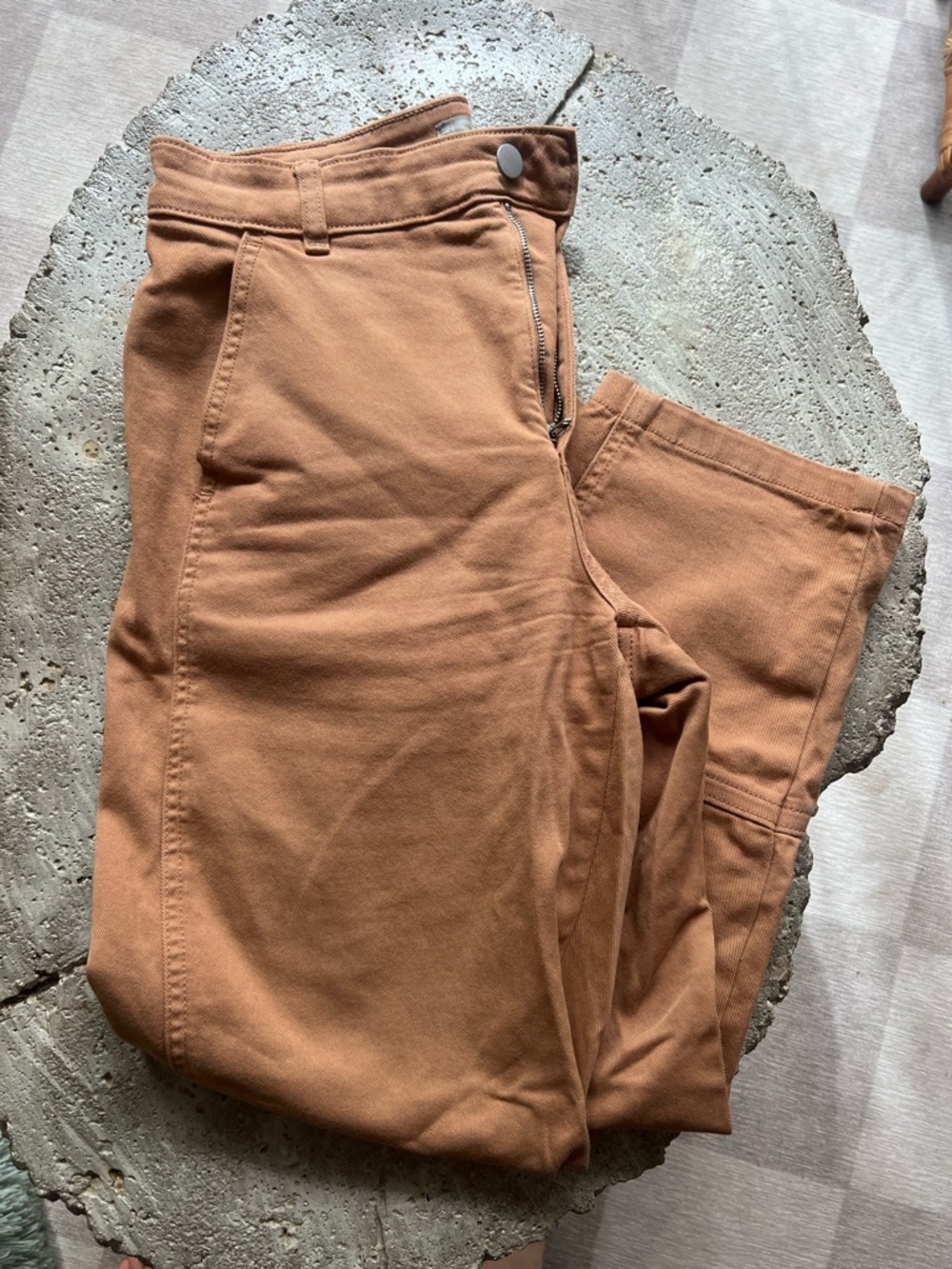 Everlane Rust Brown High-Waist Pants
